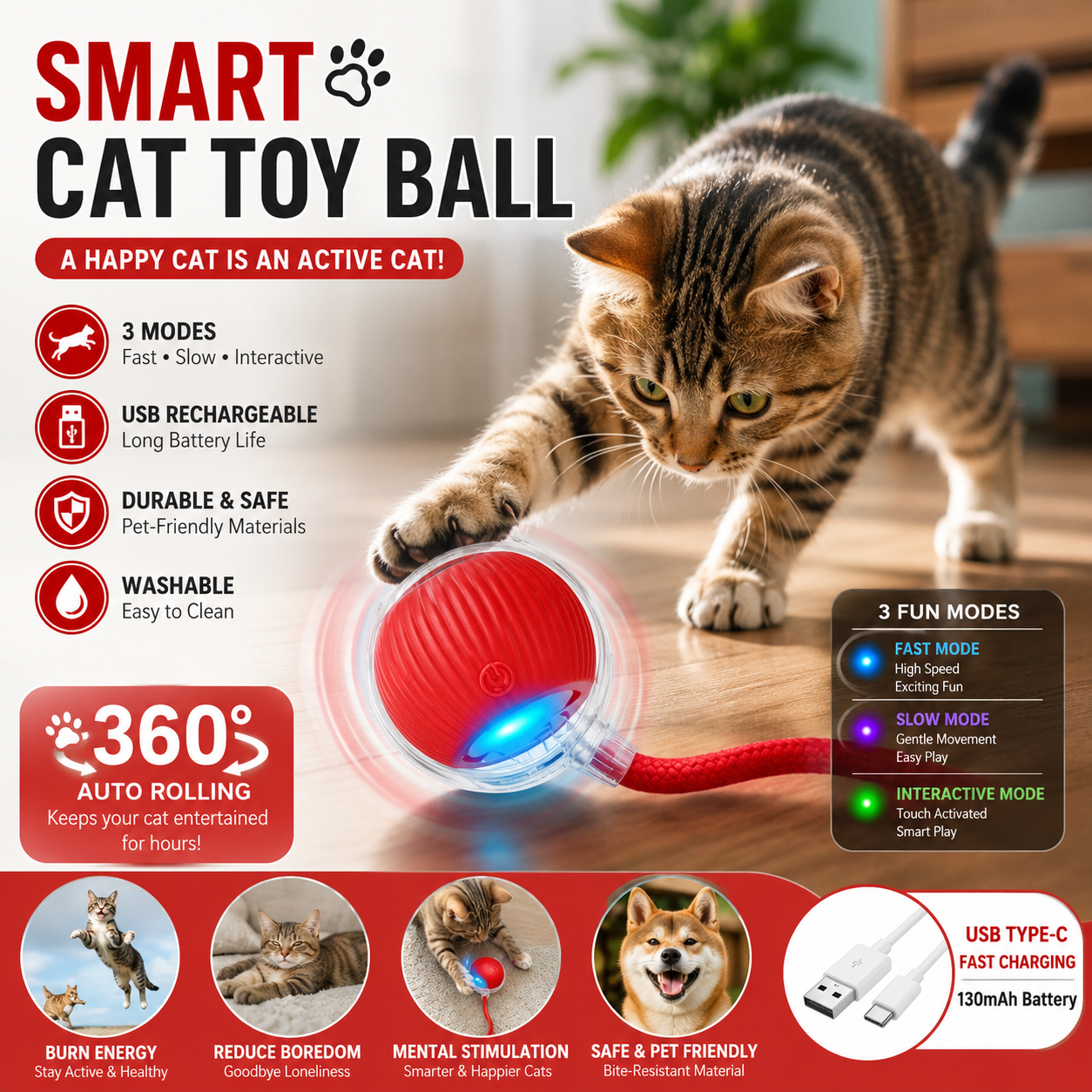 Speedy Tail 2.0 Cat rolling ball