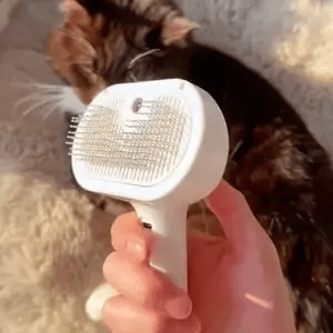 3-IN-1 MIST GROOMING BRUSH